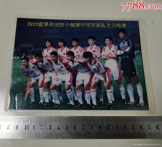 2002世界杯中国队名单公布